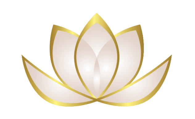 why zen web media